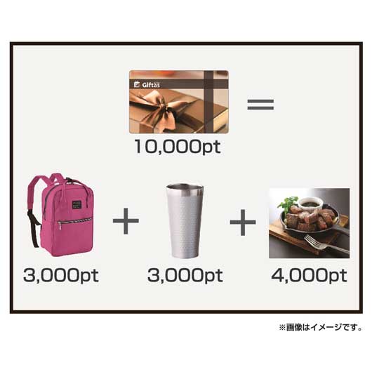 ギフタス４０００ｐｔ画像3