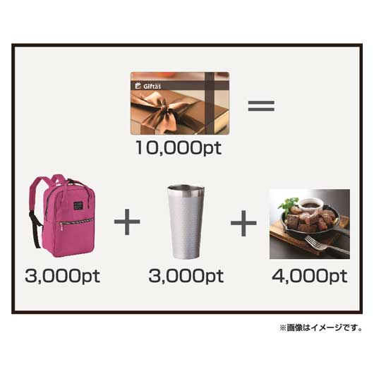 ギフタス１００００ｐｔ画像3